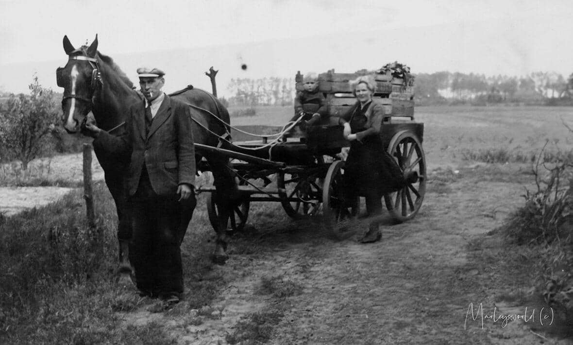 Jo Coppens met paard en wagen.