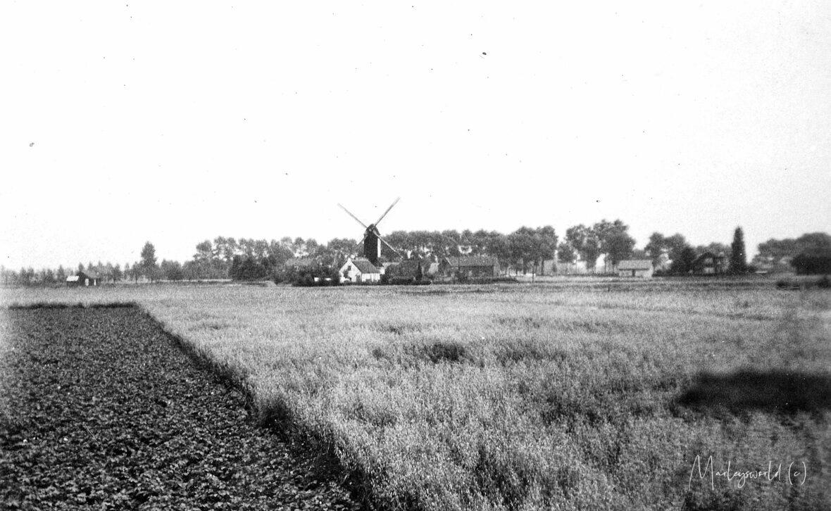 Uitkijk op wijk de Molenhoek te Rosmalen. In de jaren 50.