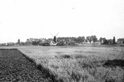 Uitkijk op wijk de Molenhoek te Rosmalen. In de jaren 50.