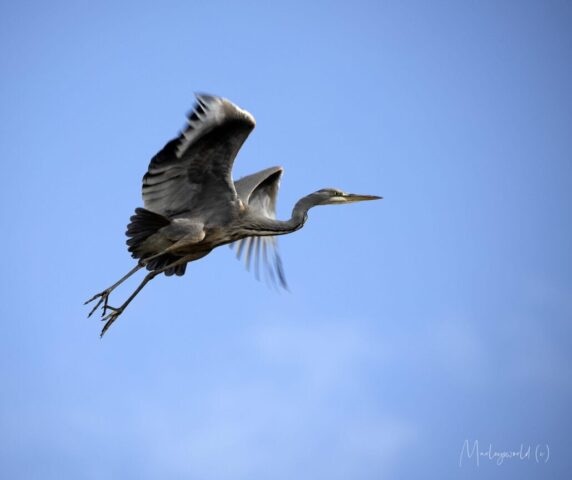 take off