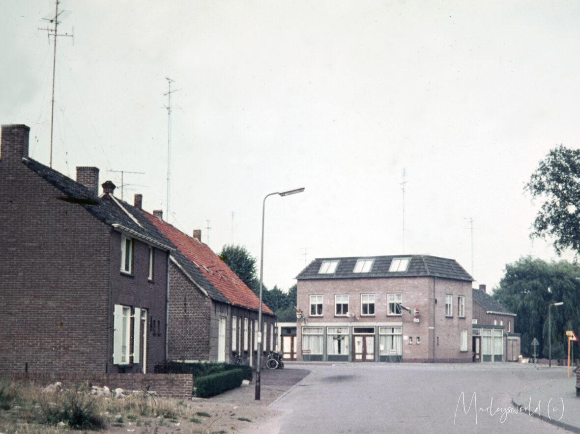 Rosmolle heeft talent