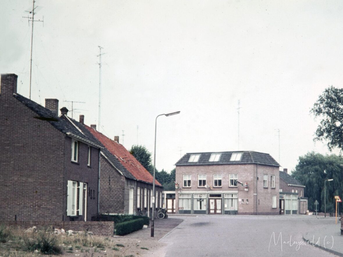 Rosmolle heeft talent