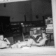 Ned Indie 56