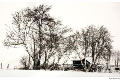 Winterlandschap in de polder