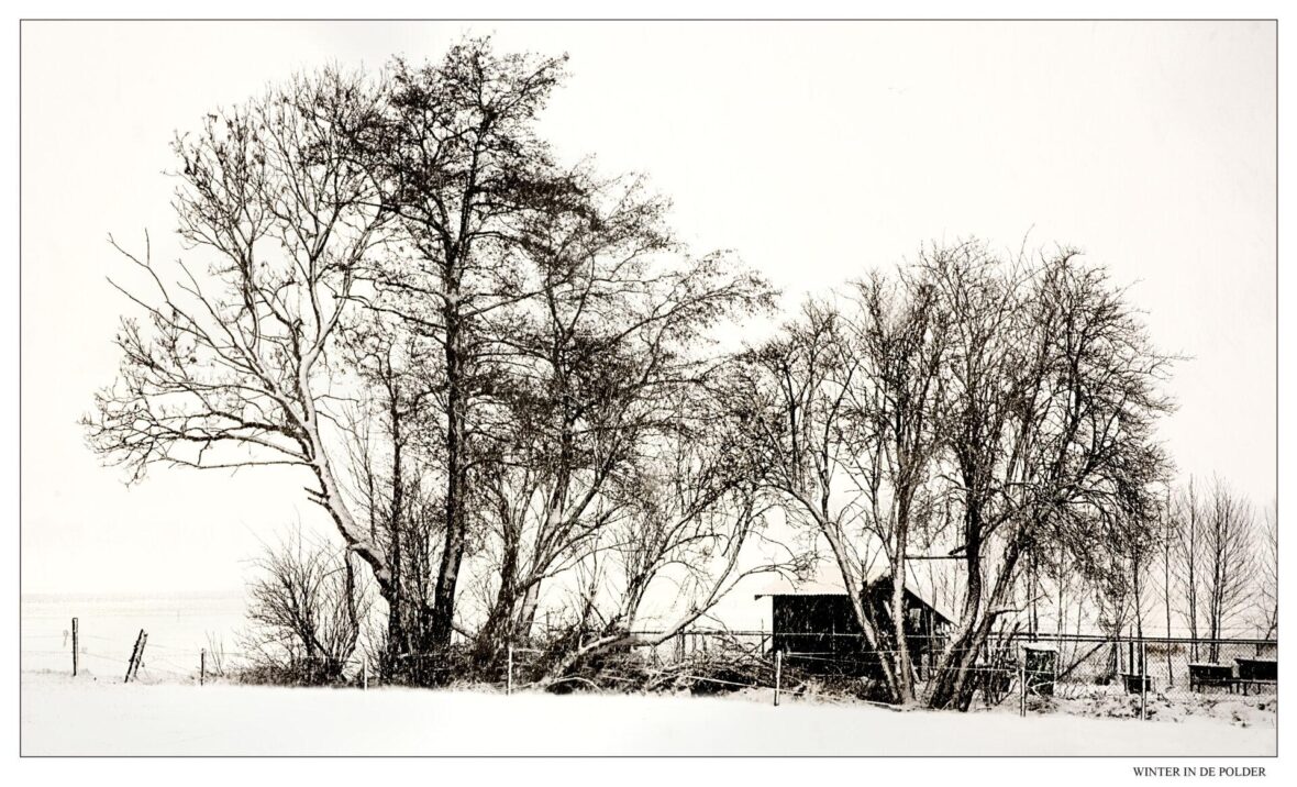 Winterlandschap in de polder